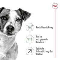 Royal Canin Mini Adult 8+ Hunde-Trockenfutter 8kg