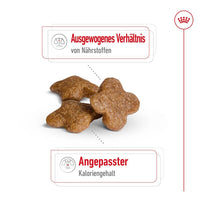 Royal Canin Mini Adult 8+ Hunde-Trockenfutter 8kg