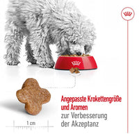 Royal Canin Mini Adult 8+ Hunde-Trockenfutter 8kg