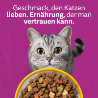 Whiskas 1+ mit Huhn 14 kg