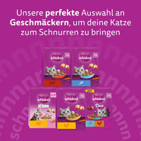 Whiskas 1+ mit Huhn 14 kg