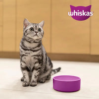 Whiskas 1+ mit Huhn 14 kg