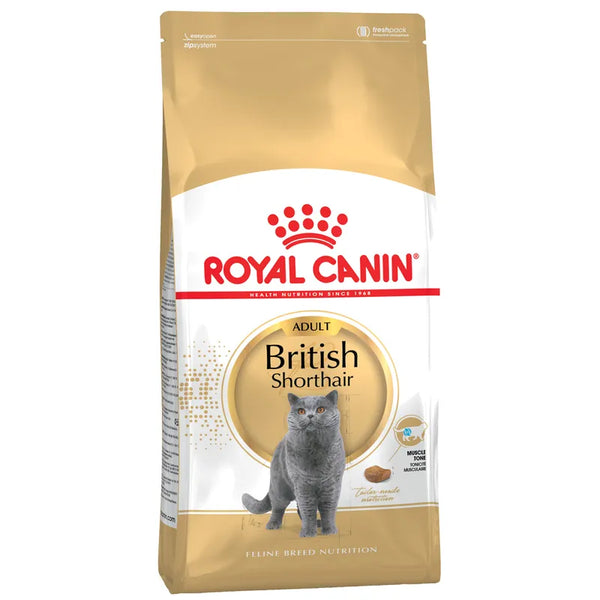 Royal Canin British Shorthair Adult 4 kg