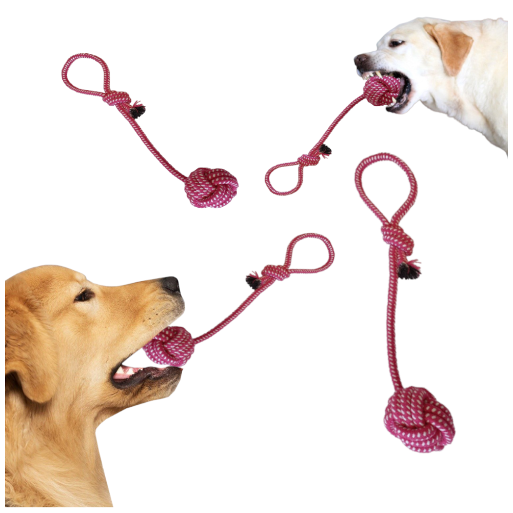 Hundespielzeug Zerrseil mit Ball - Robuster Kauspielzeug 38 cm