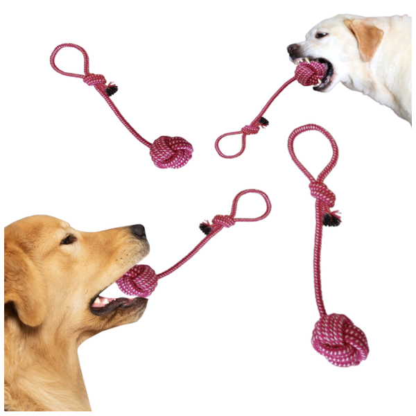 Hundespielzeug Zerrseil mit Ball - Robuster Kauspielzeug 38 cm