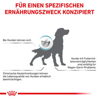 Royal Canin Veterinary Canine Anallergenic 3 kg
